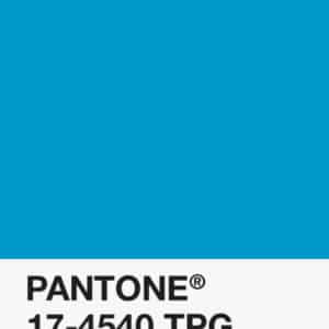 Pantone PLA 1.75mm Filament - 17-4540 TPG - Blue