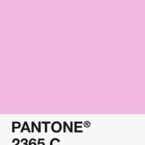 Filament Pantone PLA 1.75mm – 2365 C – Rose
