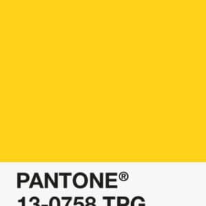 Filament Pantone PLA 1.75mm – 13-0758 TPG – Jaune