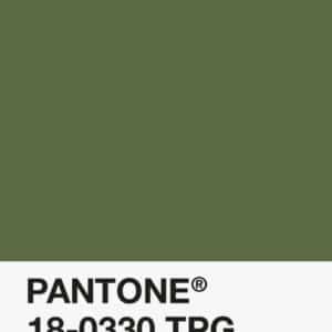 Filament Pantone PLA 1.75mm – 18-0330 – Kaki