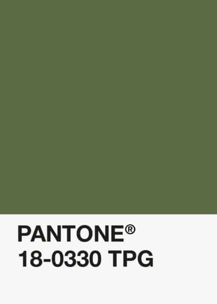 Tacca Camouflage Pantone18 0330 e1560893128915