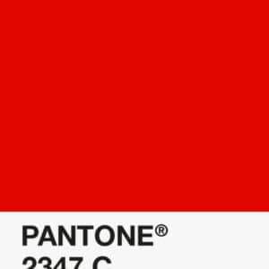 Filament Pantone PLA 1.75mm – 2347 C – Rouge