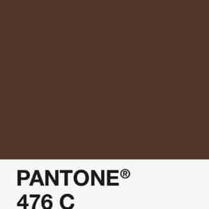 Filament Pantone PLA 1.75mm – 476 C – Marron