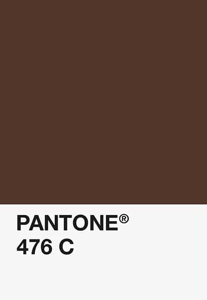 Tacca Chocolate Pantone476