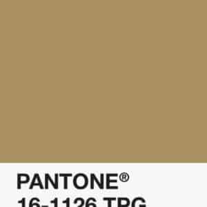 Filament Pantone PLA 1.75mm – 16-1126 TPG – Marron
