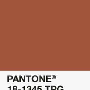Pantone PLA 1.75mm Filament - 18-1345 TPG - Rust