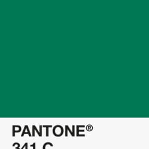 Filament Pantone PLA 1.75mm – 341 C – Vert