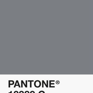 Filament Pantone PLA 1.75mm – 10389 C – Argent