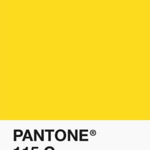 Filament Pantone PLA 1.75mm – 115 C – Jaune