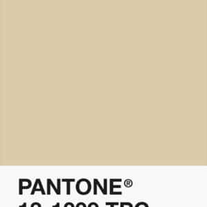 Pantone PLA 1.75mm Filament - 13-1009 TPG - Cream