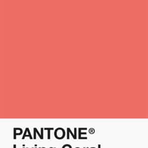 Pantone PLA 1.75mm Filament - 16-1546 - Coral