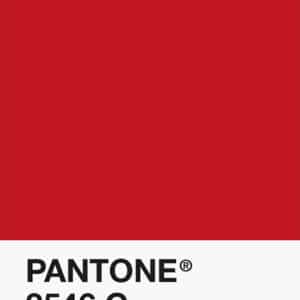Filament Pantone PLA 1.75mm – 3546 C – Rouge
