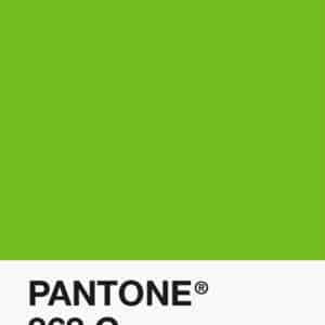 Filament Pantone PLA 1.75mm – 368 C – Vert