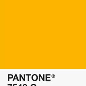 Filament Pantone PLA 1.75mm – 7549 C – Jaune