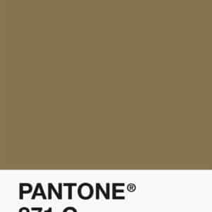Filament Pantone PLA 1.75mm – 871 C – Or
